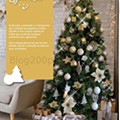 espaço casa natal-08.jpg